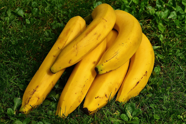 Southeast Asian Banana