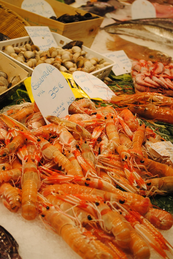 seafood aquatic products