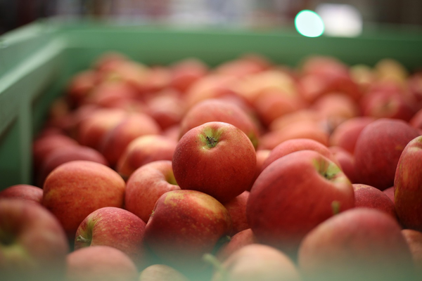 New Zealand/Japan Apples