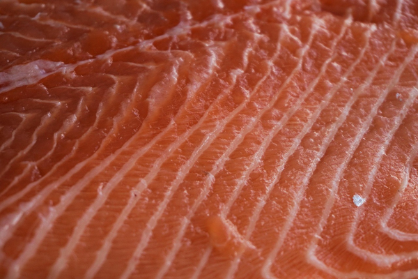 Salmon & Salmon