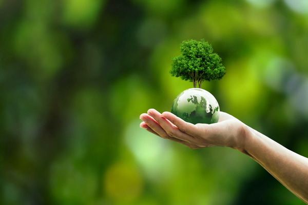 Sustainability